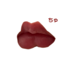 483550645