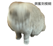 483727972