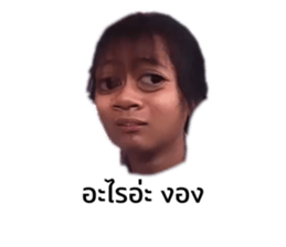483796661
