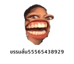 483796664