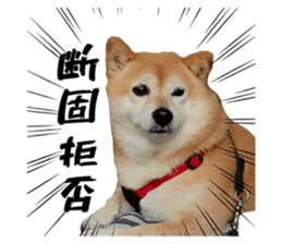 483829296