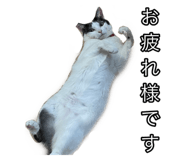 483934846