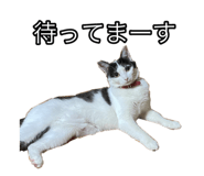 483934850
