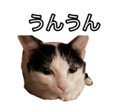 483934852