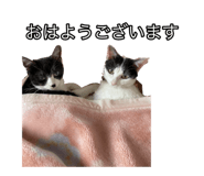 483934860