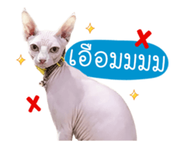 484072069