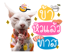 484072076