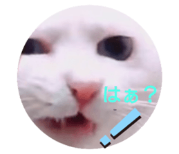 484107378