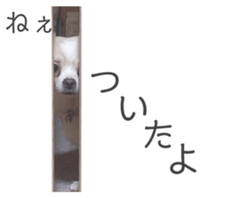 484149653