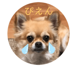 484190527