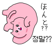 484210006