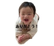 484229655