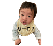484229666