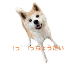 484235466