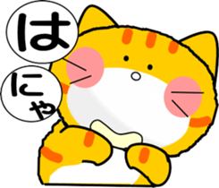 484335262
