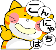 484335284