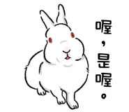 484360155