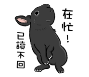 484360157