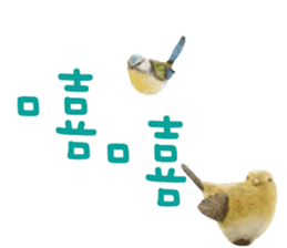 484375027