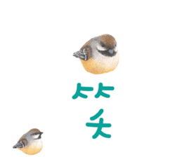 484375037