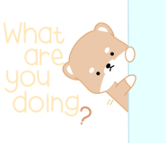 484376420