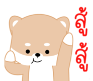 484377647