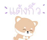 484377662