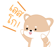 484377663