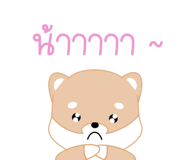 484377667