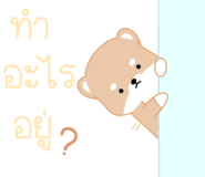 484377676
