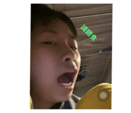 484386594