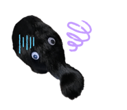 484409475