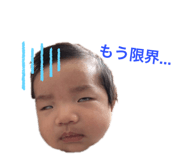 484414049
