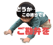 484424385