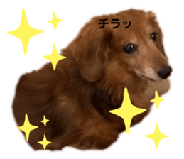 484432182