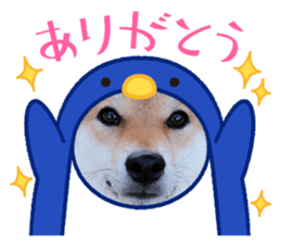484433772