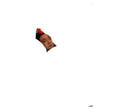 484447337