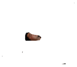 484447338