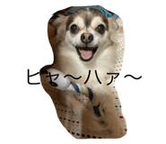 484448119