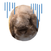 484457324