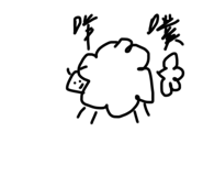 484463797