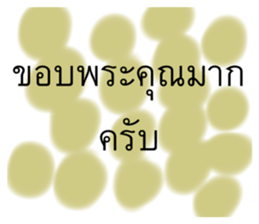 484465260