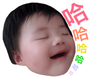 48448419