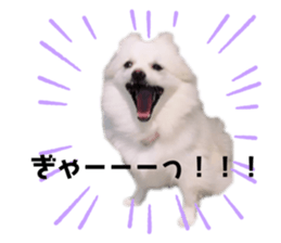 484530628