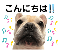 484553287