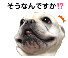 484553304