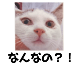 484622728