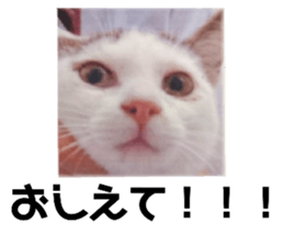 484622736