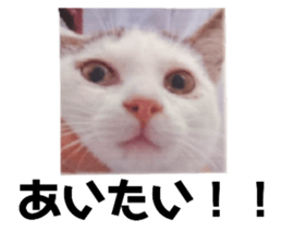 484622740
