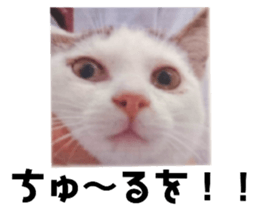 484622744